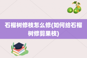 石榴树修枝怎么修(如何给石榴树修剪果枝)