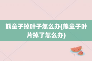 熊童子掉叶子怎么办(熊童子叶片掉了怎么办)