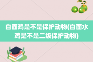 白面鸡是不是保护动物(白面水鸡是不是二级保护动物)