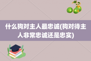 什么狗对主人最忠诚(狗对待主人非常忠诚还是忠实)