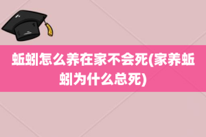 蚯蚓怎么养在家不会死(家养蚯蚓为什么总死)