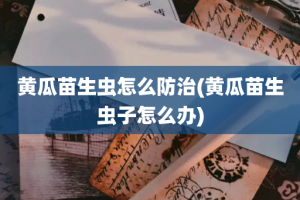 黄瓜苗生虫怎么防治(黄瓜苗生虫子怎么办)