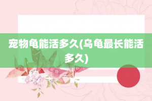 宠物龟能活多久(乌龟最长能活多久)