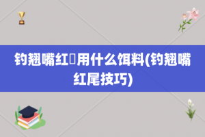 钓翘嘴红鲌用什么饵料(钓翘嘴红尾技巧)