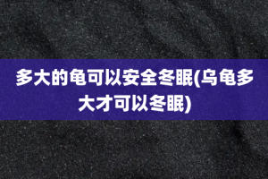 多大的龟可以安全冬眠(乌龟多大才可以冬眠)