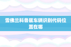 雪佛兰科鲁兹车辆识别代码位置在哪