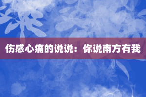 伤感心痛的说说：你说南方有我