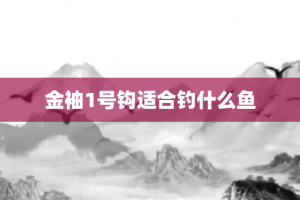 金袖1号钩适合钓什么鱼