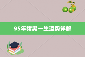 95年猪男一生运势详解