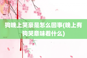 狗晚上哭豪是怎么回事(晚上有狗哭意味着什么)