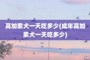 高加索犬一天吃多少(成年高加索犬一天吃多少)