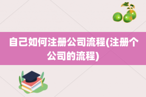 自己如何注册公司流程(注册个公司的流程)