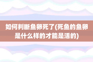 如何判断鱼卵死了(死鱼的鱼卵是什么样的才能是活的)