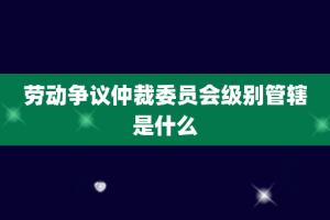 劳动争议仲裁委员会级别管辖是什么