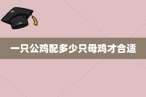 一只公鸡配多少只母鸡才合适