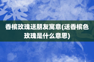 香槟玫瑰送朋友寓意(送香槟色玫瑰是什么意思)