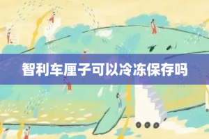 智利车厘子可以冷冻保存吗