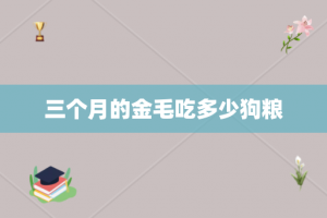 三个月的金毛吃多少狗粮
