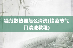 锋范散热器怎么清洗(锋范节气门清洗教程)