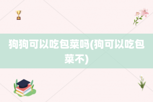 狗狗可以吃包菜吗(狗可以吃包菜不)