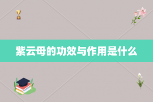紫云母的功效与作用是什么