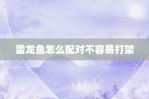 雷龙鱼怎么配对不容易打架