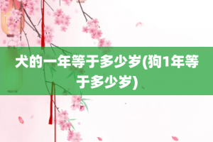 犬的一年等于多少岁(狗1年等于多少岁)