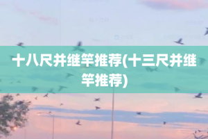 十八尺并继竿推荐(十三尺并继竿推荐)