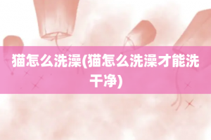 猫怎么洗澡(猫怎么洗澡才能洗干净)