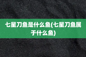 七星刀鱼是什么鱼(七星刀鱼属于什么鱼)