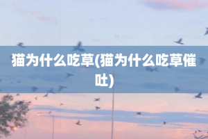 猫为什么吃草(猫为什么吃草催吐)