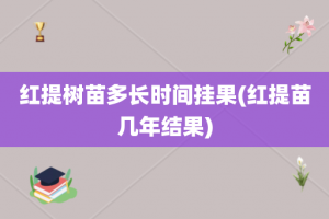 红提树苗多长时间挂果(红提苗几年结果)
