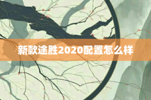 新款途胜2020配置怎么样