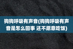 狗狗呼吸有声音(狗狗呼吸有声音是怎么回事 还不愿意吃饭)