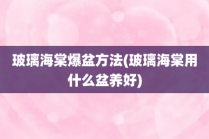 玻璃海棠爆盆方法(玻璃海棠用什么盆养好)