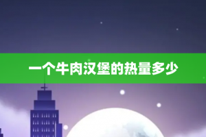 一个牛肉汉堡的热量多少