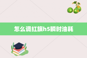怎么调红旗h5瞬时油耗
