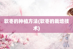 软枣的种植方法(软枣的栽培技术)