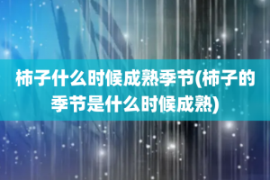 柿子什么时候成熟季节(柿子的季节是什么时候成熟)