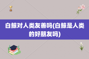 白鲸对人类友善吗(白鲸是人类的好朋友吗)