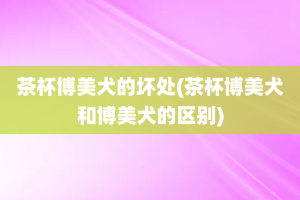 茶杯博美犬的坏处(茶杯博美犬和博美犬的区别)