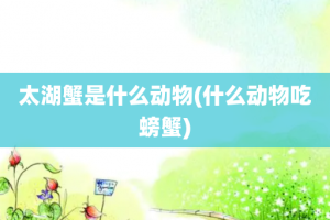 太湖蟹是什么动物(什么动物吃螃蟹)