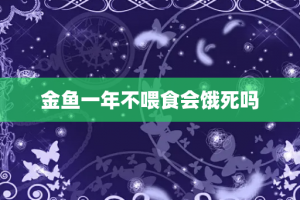 金鱼一年不喂食会饿死吗