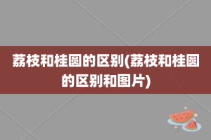 荔枝和桂圆的区别(荔枝和桂圆的区别和图片)