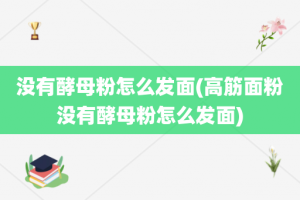 没有酵母粉怎么发面(高筋面粉没有酵母粉怎么发面)