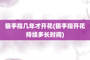 银手指几年才开花(银手指开花持续多长时间)
