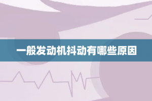 一般发动机抖动有哪些原因