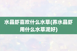 水晶虾喜欢什么水草(养水晶虾用什么水草泥好)