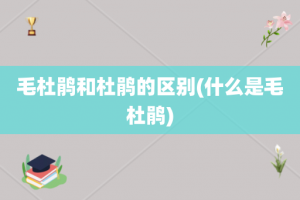 毛杜鹃和杜鹃的区别(什么是毛杜鹃)