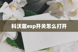 科沃兹esp开关怎么打开